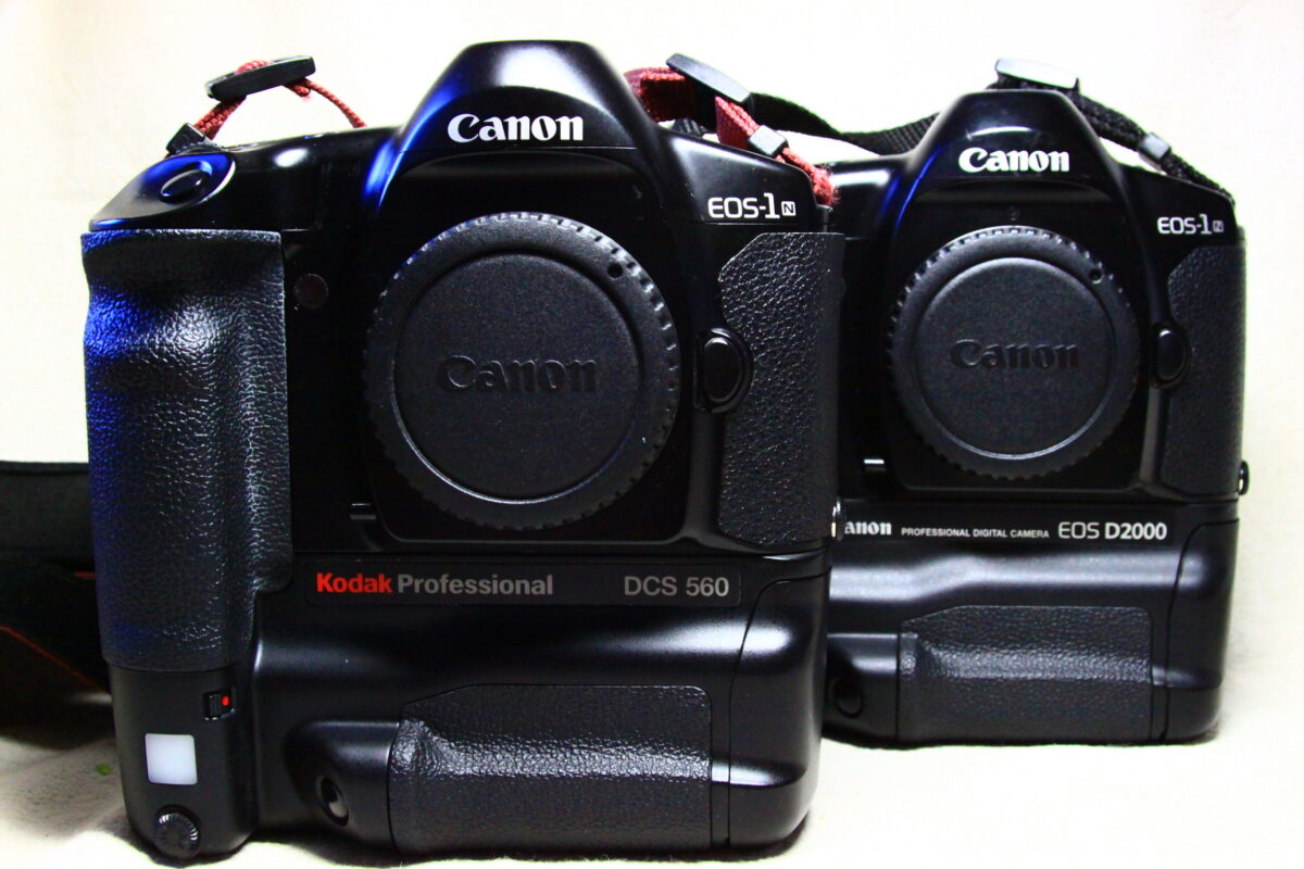 完全ジャンク NikonD800 説明をよくお読みください （業界裏情報 